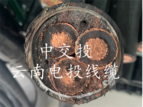 昆明電纜廠(chǎng)丨昆明交投電纜丨昆明鋁合金電纜丨昆明高壓電纜廠(chǎng)